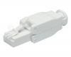 Wtyk RJ45/8P8C, kat.6, UTP 3886