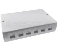 Pusta obudowa do montażu modułów Keystone 12-portowa (2x6) 7012-2